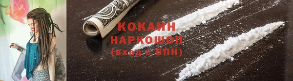 индика Дмитриев