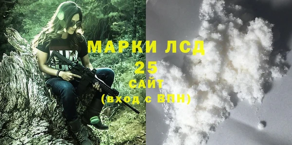 хмурый Дмитров