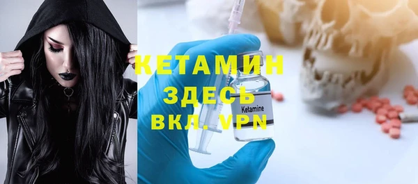 индика Дмитриев