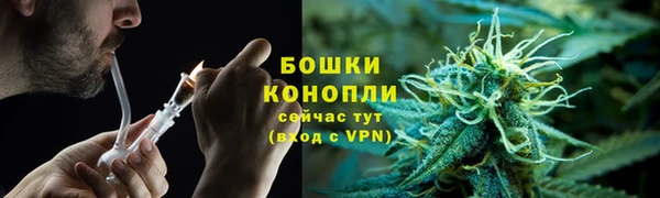 хмурый Дмитров
