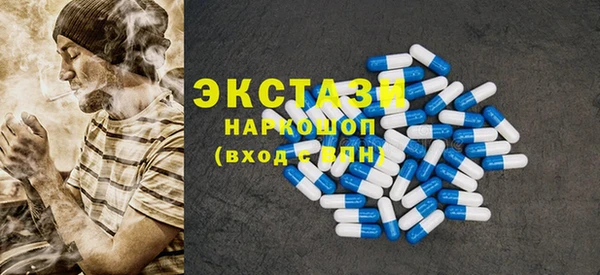 индика Дмитриев
