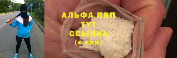 индика Дмитриев