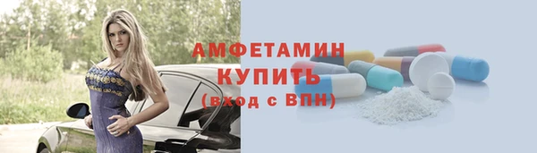 индика Дмитриев