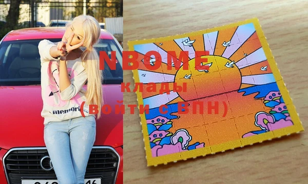 хмурый Дмитров