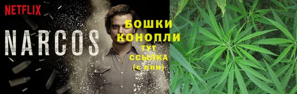 мяу мяу мука Гусев