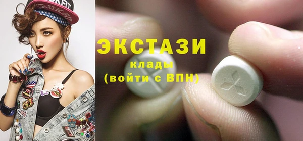 хмурый Дмитров