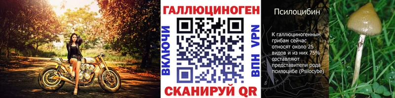 Псилоцибиновые грибы Psilocybe  Ростов 